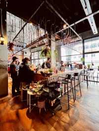 Light capture Cafe