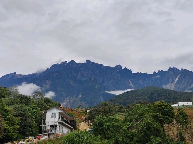 2D1N Kundasang