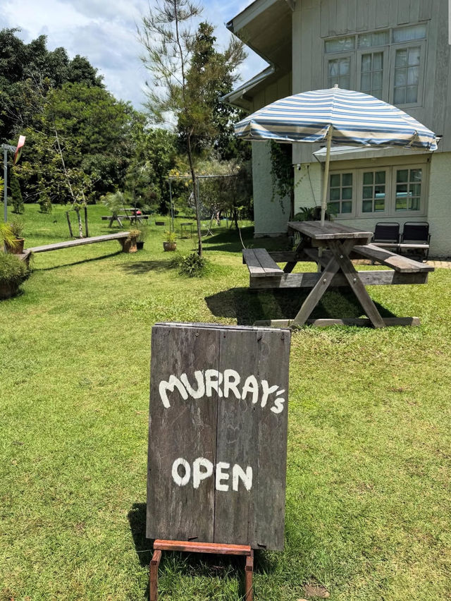 Murray’s Cnx 🌻🍂🍮