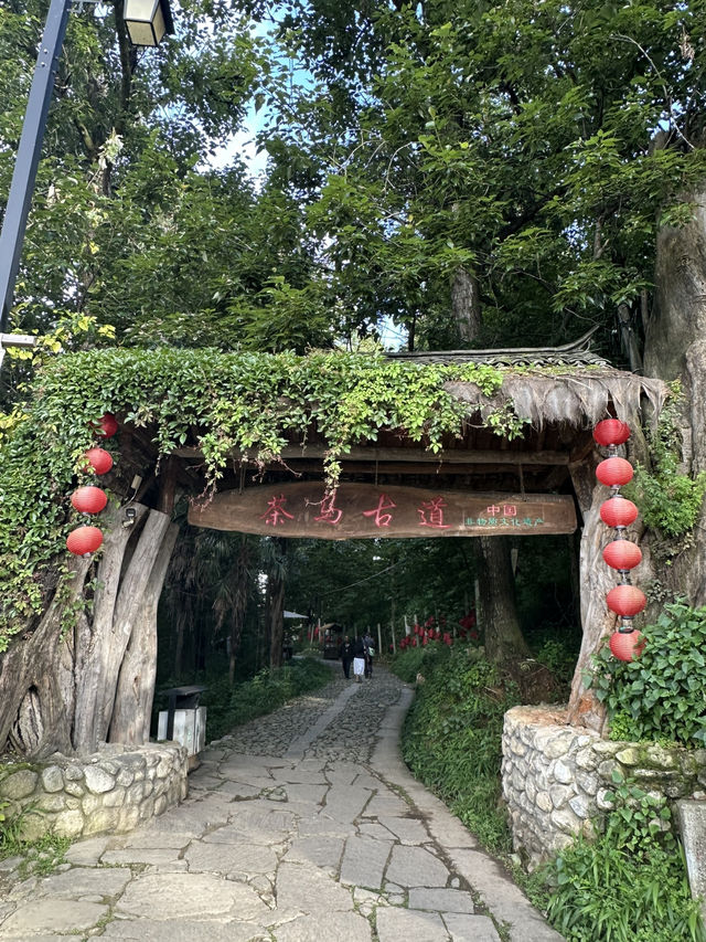 去有風的地方，體驗許紅豆、謝之遙走過的路
