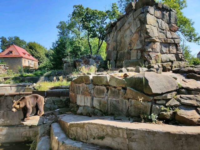 Kaliningrad Zoo