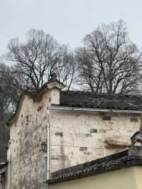Drawn by Water, Etched in Time: Discover Hongcun
