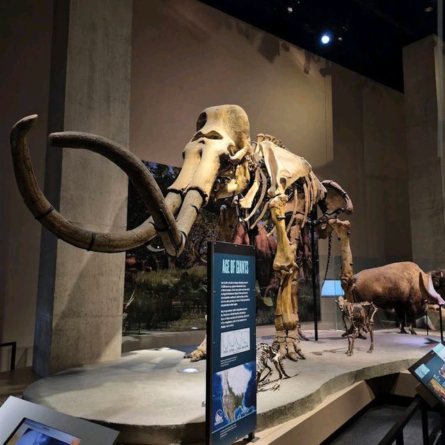 Perot Museum of Nature and Science – Dallas