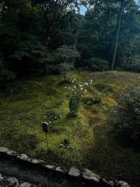 【天龍寺】心を整える禅の世界🌿嵐山の静寂に包まれる癒しの時間