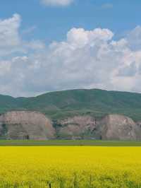 Golden Surprise on the Tangbula Road
