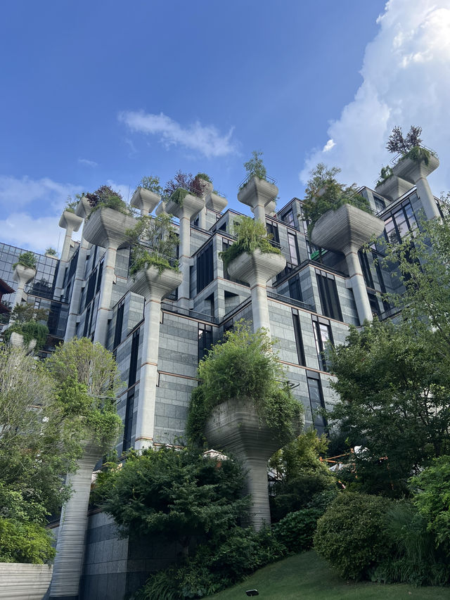Discovering Shanghai: A Visual Journey Through Light, Nature, and City Glamour