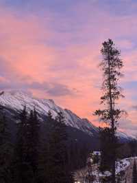 무더위를 이겨내기! 여름에 다시보는 겨울의 BANFF 🏔️