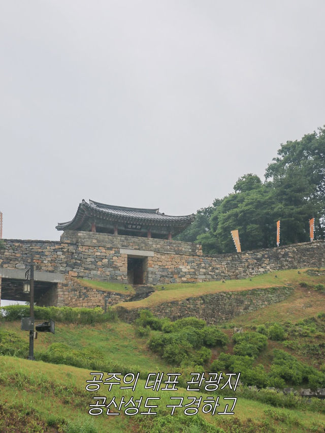 여행도 하고 환경도 지키는 탄소 중립 여행지 공주!