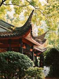 Baisha Ancient Well 🏘️ 