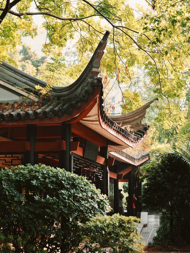 Baisha Ancient Well 🏘️ 