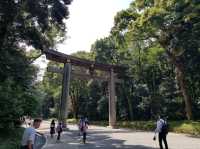 วัดเมจิ (Meiji Jingu) – ศาลเจ้าศักดิ์สิทธิ์