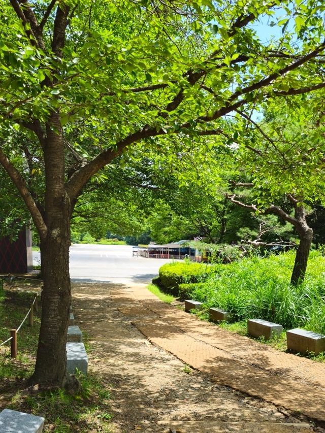 인천대공원 봄