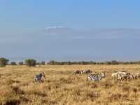 Kenya - Tanzania trip 2025 🇰🇪🇹🇿