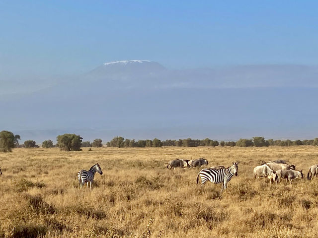 Kenya - Tanzania trip 2025 🇰🇪🇹🇿