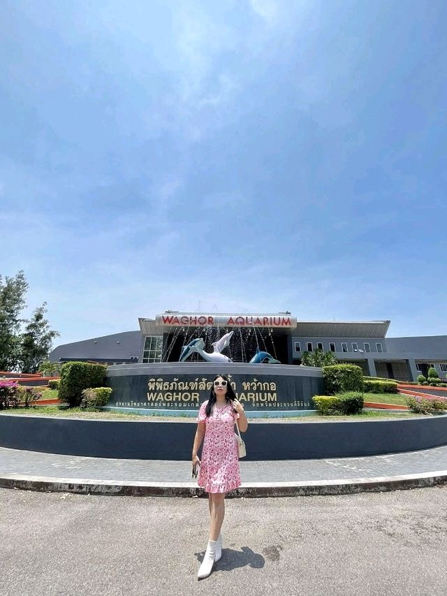 พิพิธภัณฑ์สัตว์น้ำ หว้ากอ จังหวัดประจวบคีรีขันธ์