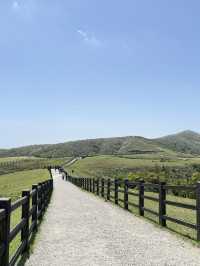 Qingtiangang grassland 
