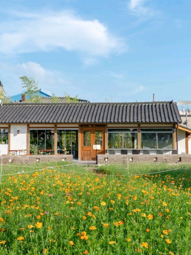 수원 행궁동에 이른 가을이 찾아왔어요🧡