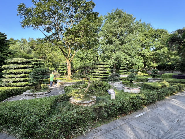 🌿 Escape to Dujiangyan 都江堰 — Where Nature, History & Serenity Meet