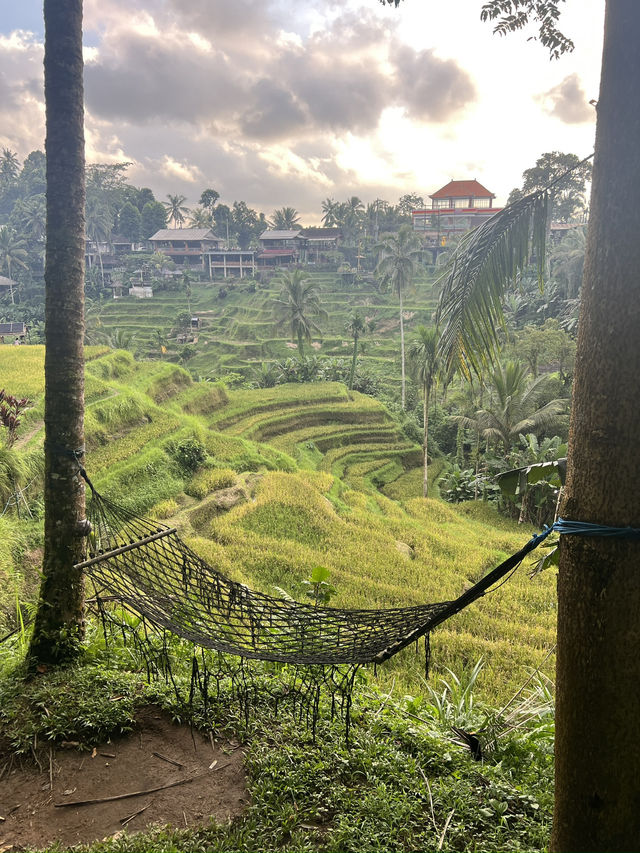 Bali from Coast to Clouds: A Journey of Light & Nature