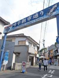 【呼子朝市】新鮮な海の幸と人情に触れる朝の旅🌅
