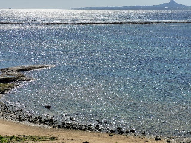 黑潮水槽震撼人心的海洋體驗/沖繩美麗海水族館