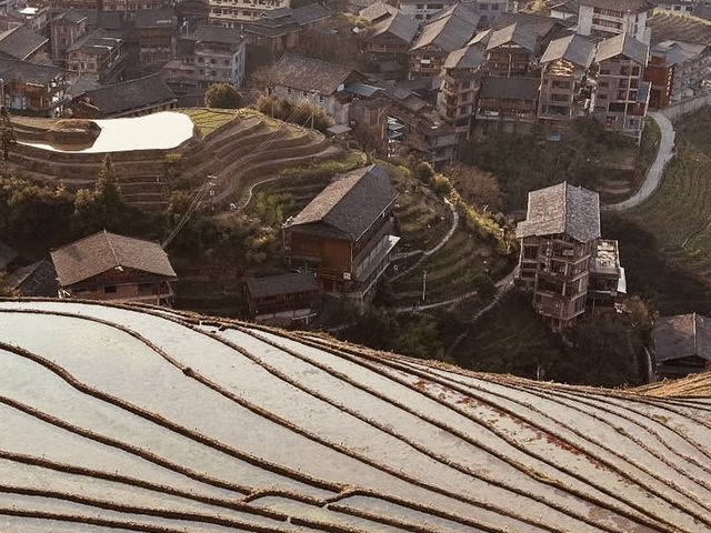Longsheng Rice Terraces: A Golden Ladder to the Sky