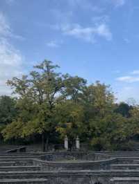 🏝️ A Glimpse into Immortal Realms: Fanghu Shengjing at Summer Palace☯