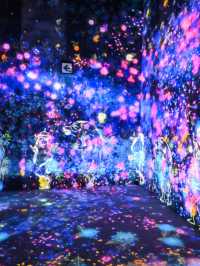 【麻布台】暑い日は、チームラボでアート体験！