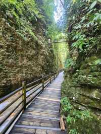“Zhangjiajie Grand Canyon: A Glass Bridge to Nature’s Wonders”