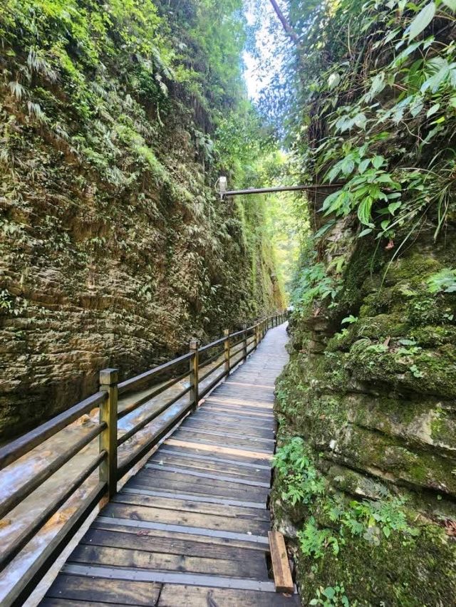 “Zhangjiajie Grand Canyon: A Glass Bridge to Nature’s Wonders”