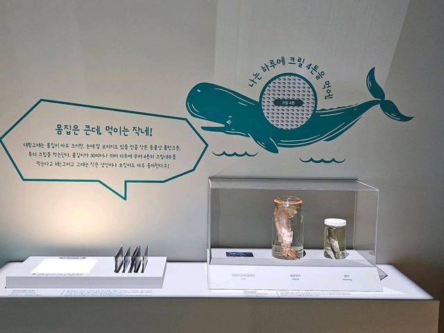 바다의 깊이를 보는 곳