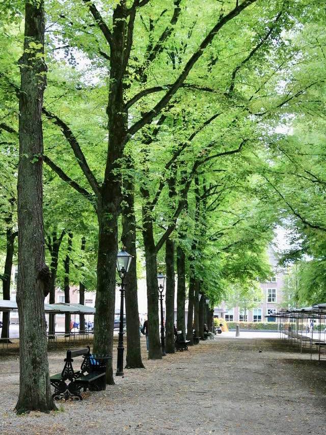 荷蘭海牙 和平宮 國會大廈