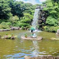 Engaging Fun for Families with Interactive Learning