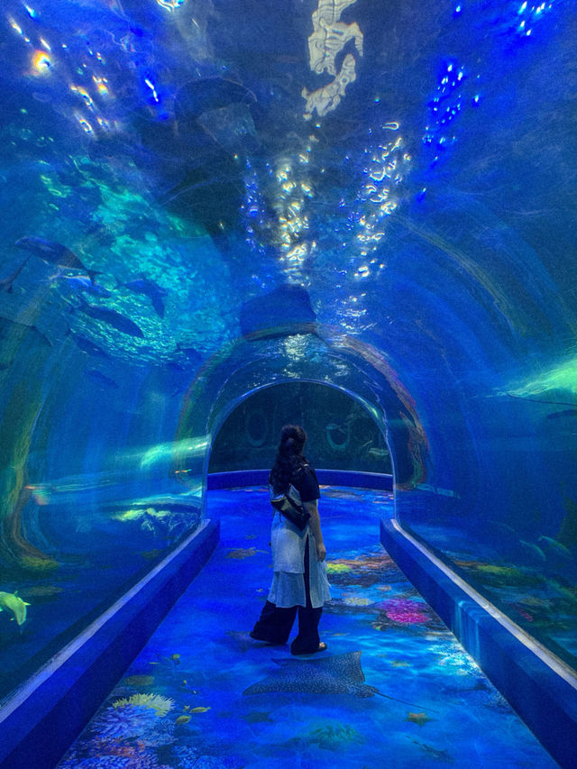 뚜벅이도 알차게 즐길 수 있는 여수여행 코스👣