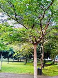 Nature Meets the City at Taman Rekreasi Hiliran