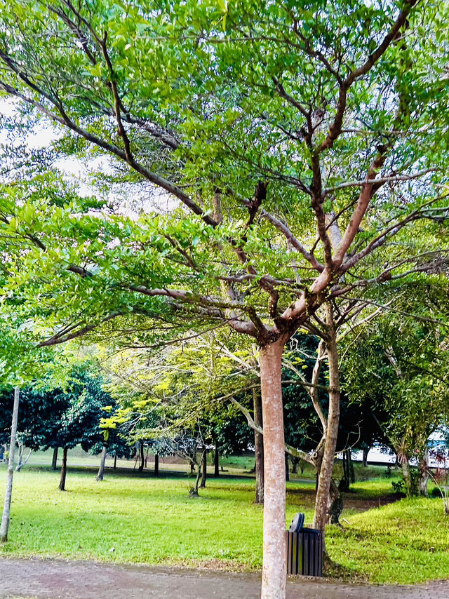 Nature Meets the City at Taman Rekreasi Hiliran