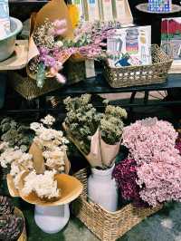 🌸Aesthetic Escape to Fitzroy – A Budget-Friendly Day Out in Melbourne🌿