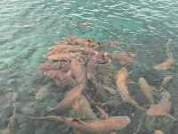 Refreshing trip in Maldives 