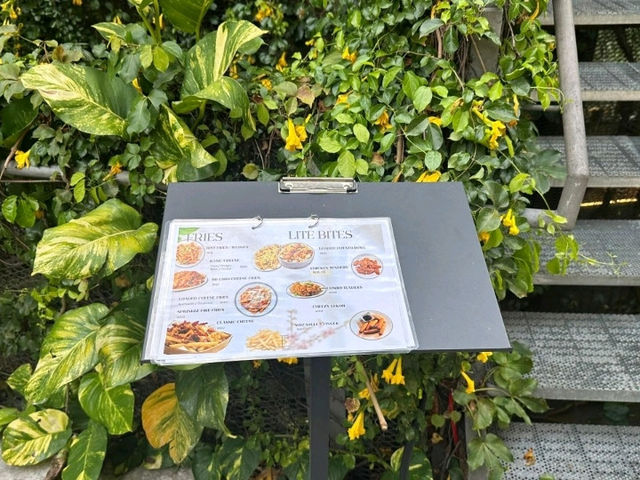 Good Vibes & Great Bites at The Food Project 🌿🍴