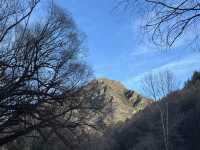 Are still still Gold somewhere in Arrowtown!