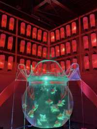 【愛知観光】˗ˏˋ 7年ぶりの名古屋開催❗️幻想の金魚アート🏺ˎˊ˗