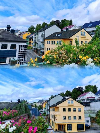 The City of Roses: Molde
