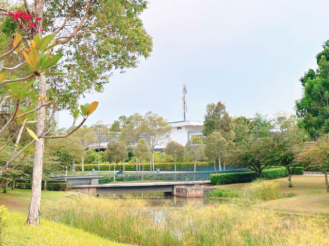 Fresh Air & Peace at Tropicana Heights Central Park ✨🌳