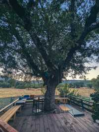 Best place to stay in Kas, Turkey