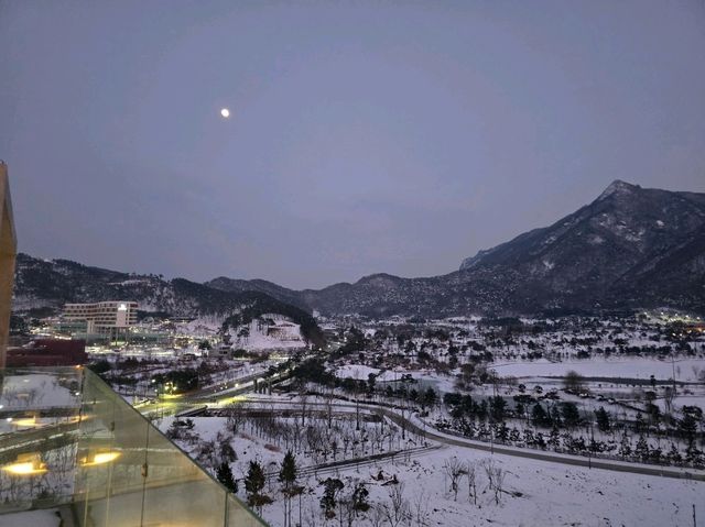 정읍 엘리스테이 방문기 🏨✨
