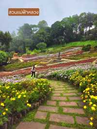 🌼 สวนแม่ฟ้าหลวง มนต์เสน่ห์เมืองหนาว