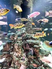 Explore the Wonders of Nature at Just Pets Megastore Damansara