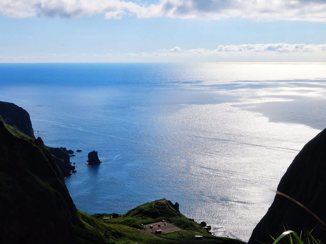 滿山花香 走一趟「花之浮島」