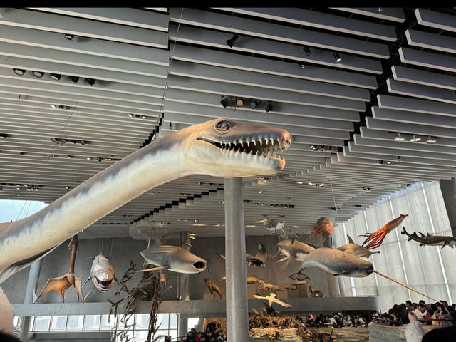 【地球の歴史を旅する🌍】上海自然博物館で知的な冒険を! 【地球の歴史を旅する🌍】上海自然博物館で知的な冒険を!