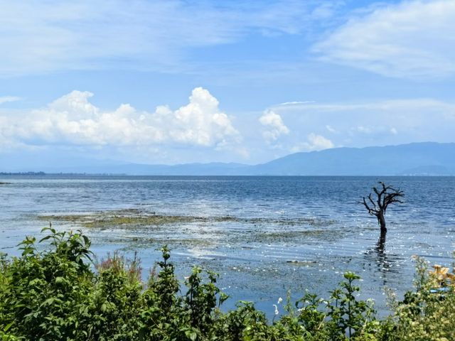 Where Mountains Meet the Sky – The Serenity of Erhai